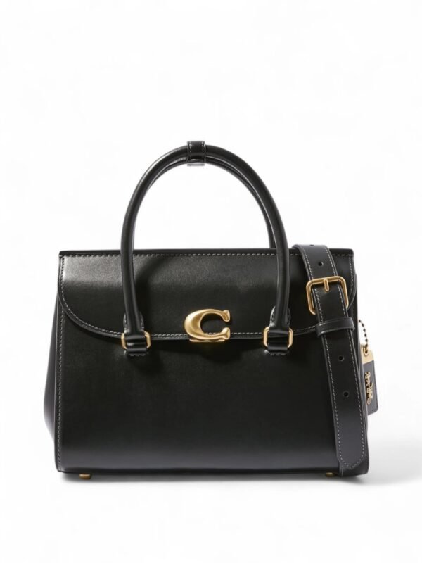 COACH BROOME CARRYALL + Brand Box , size 26*21